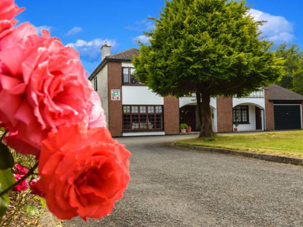 Killowen House B&B Drogheda Bagian luar foto