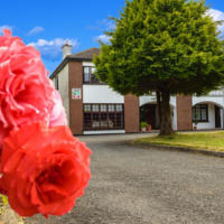 Killowen House B&B Drogheda Bagian luar foto